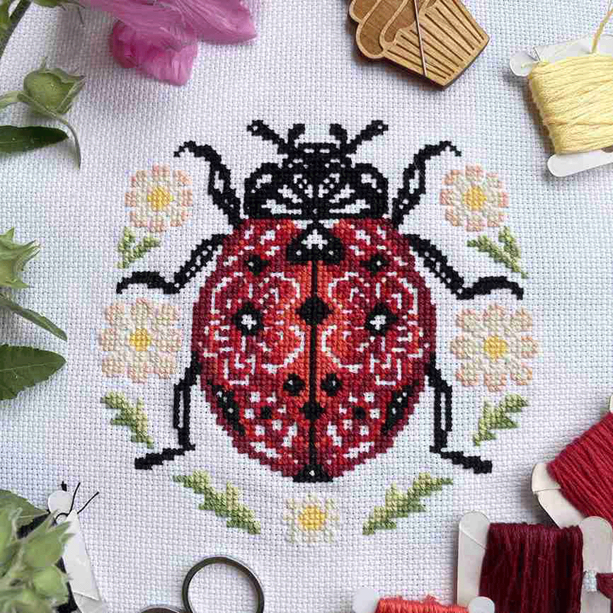 Lil' Ladybird