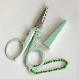 Folding Scissors with Sheath