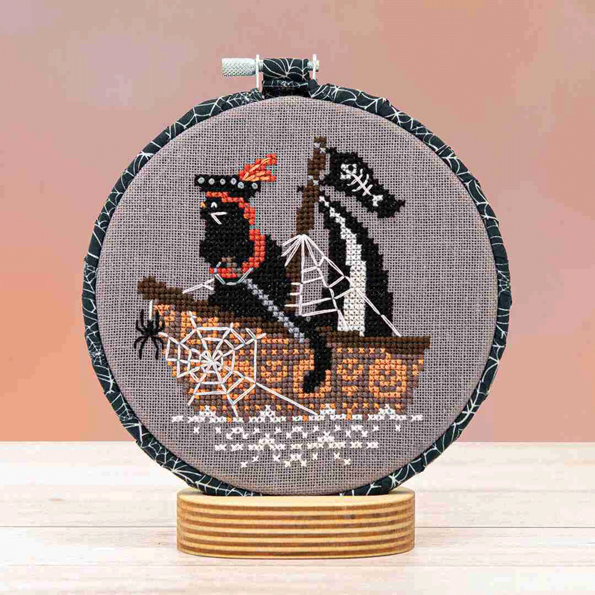 Purr-fect Pirate